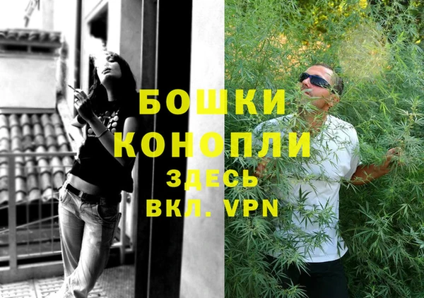 спайс Аркадак