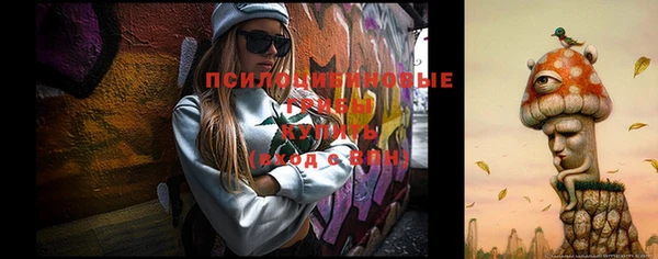 спайс Аркадак