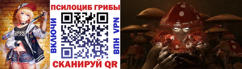 закладки  Жуковка  Псилоцибиновые грибы Psilocybe 