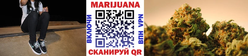 Конопля SATIVA & INDICA  закладки  Жуковка 